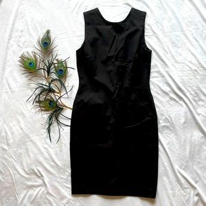 Banana Republic Black Sleeveless Fitted Dress